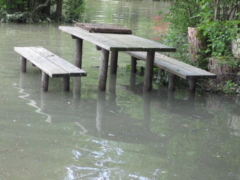 hochwasser2013-19.jpg